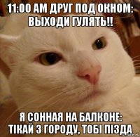 11:00 ам друг под окном: выходи гулять!! я сонная на балконе: тiкай з городу, тобi пiзда