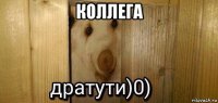 коллега 