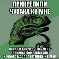 прикрепили чувака ко мне означает ли это, что у меня появился помощник или наоборот, дополнительный гемор