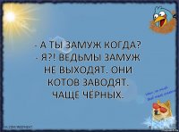 - А ты замуж когда?
- Я?! Ведьмы замуж не выходят. Они котов заводят. Чаще чёрных.