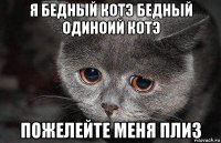 я бедный котэ бедный одиноий котэ пожелейте меня плиз