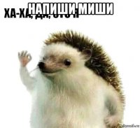 напиши миши 