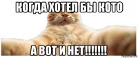 когда хотел бы кото а вот и нет!!!!!!!