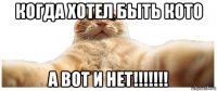 когда хотел быть кото а вот и нет!!!!!!!