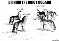 В Пинигере воют собаки