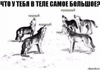 Что у тебя в теле самое большое?