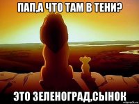 пап,а что там в тени? это зеленоград,сынок