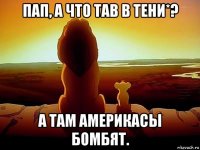 пап, а что тав в тени*? а там америкасы бомбят.