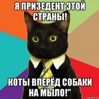 я призедент этой страны! коты вперёд собаки на мыло!"