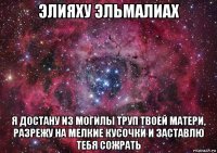 элияху эльмалиах я достану из могилы труп твоей матери, разрежу на мелкие кусочки и заставлю тебя сожрать