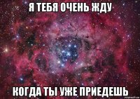 я тебя очень жду когда ты уже приедешь