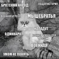 братский народ военная угроза для России мышебратья умом не понять одиннарот общая история военная военная угроза  нападут