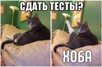 сдать тесты? 