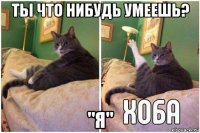 ты что нибудь умеешь? "я"