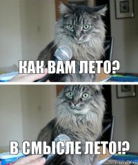 как вам лето? в смысле лето!?