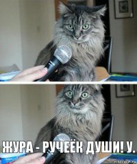  жура - ручеёк души! у.