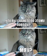 .....что вы скажете по этому поводу? ....мяу?