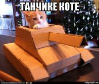 танчике коте 