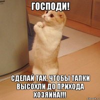 господи! сделай так, чтобы тапки высохли до прихода хозяина!!!