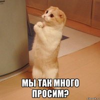  мы так много просим?