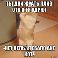 ты дай жрать плиз ото я тя удрю! -нет нельзя ебало ане кот!