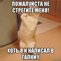 пожалуйста не стрегите меня! хоть я и написал в тапки!(