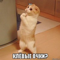 -- клёвые очки?