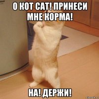 о кот cat! принеси мне корма! на! держи!