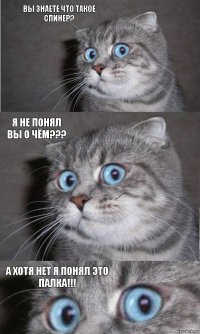 Вы знаете что такое спинер? Я не понял вы о чём??? А хотя нет я понял это палка!!!