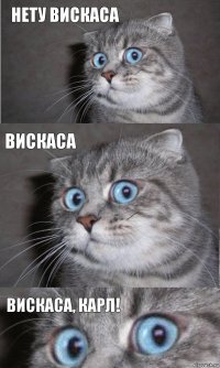 Нету вискаса Вискаса ВИСКАСА, КАРЛ!