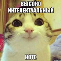 высоко интелектуальный коте