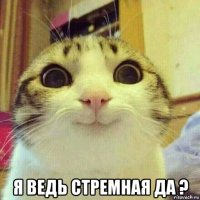  я ведь стремная да ?