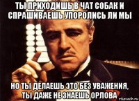 ты приходишь в чат собак и спрашиваешь упоролись ли мы но ты делаешь это без уважения, ты даже не знаешь орлова