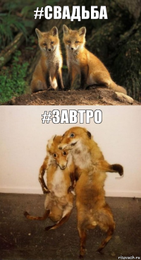 #свадьба #завтро