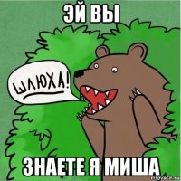 эй вы знаете я миша