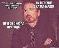 тут грозный громовой удар сорвался с небосвода ну и гремит сказал маляр другой сказал природа       