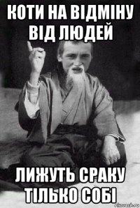 коти на відміну від людей лижуть сраку тілько собі