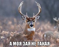  а моя зая не такая