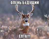 олень будущий ёпта!!!