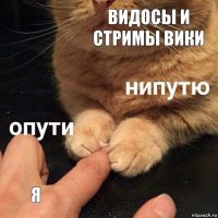 Видосы и Стримы Вики Я