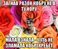 загнав разок кобру не в ту нору мала взнала - чуть не зламала кобрі хребет