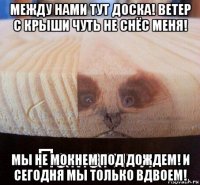 между нами тут доска! ветер с крыши чуть не снёс меня! мы не мокнем под дождем! и сегодня мы только вдвоем!