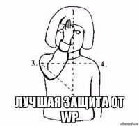  лучшая защита от wp