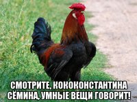  смотрите, кококонстантина сёмина, умные вещи говорит!