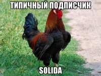 типичный подписчик solida