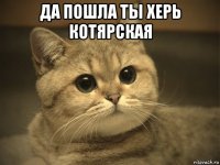 да пошла ты херь котярская 