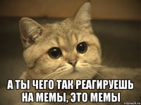  а ты чего так реагируешь на мемы, это мемы