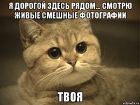 я дорогой здесь рядом... смотрю живые смешные фотографии твоя