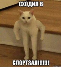 сходил в спортзал!!!!!!!