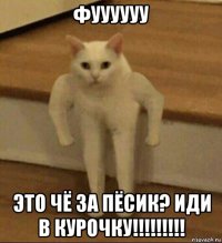 фуууууу это чё за пёсик? иди в курочку!!!!!!!!!